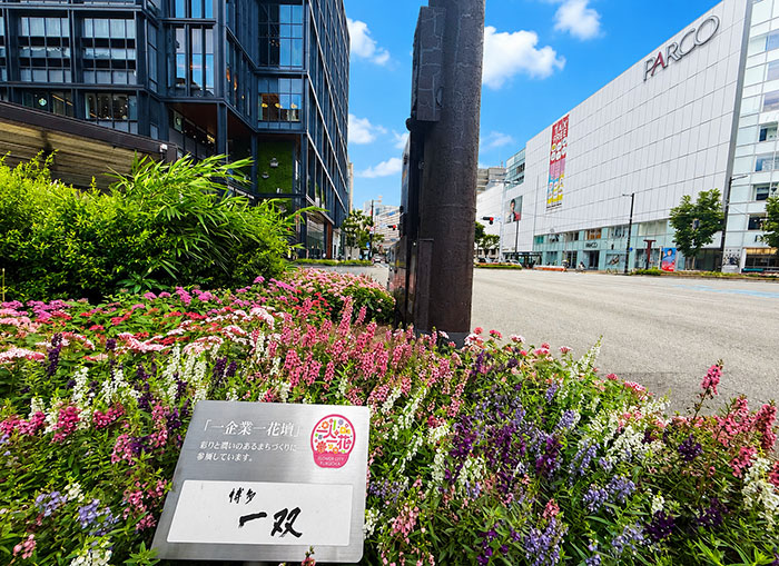 特集写真